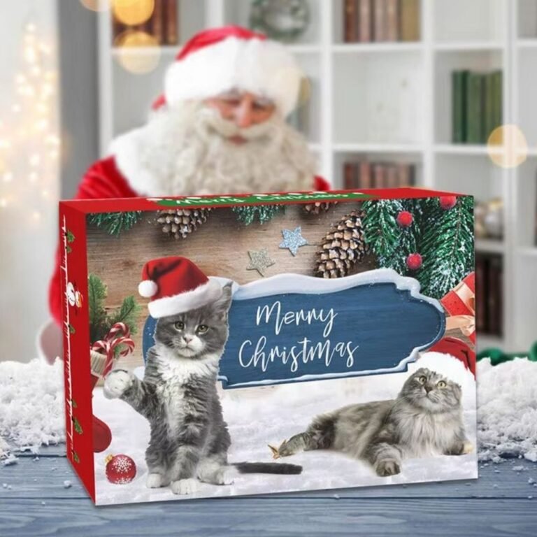 Calendrier De Lavent Chaton 1
