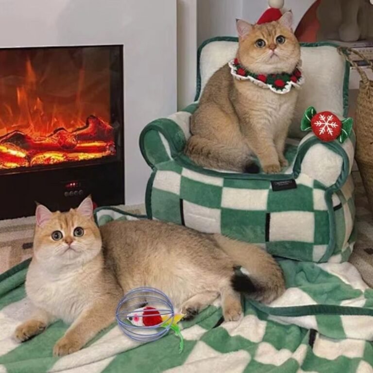 Calendrier De Lavent Chaton 3