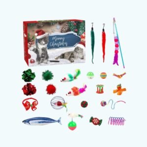 Calendrier De Lavent Chaton
