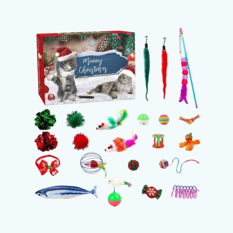 Calendrier De Lavent Chaton