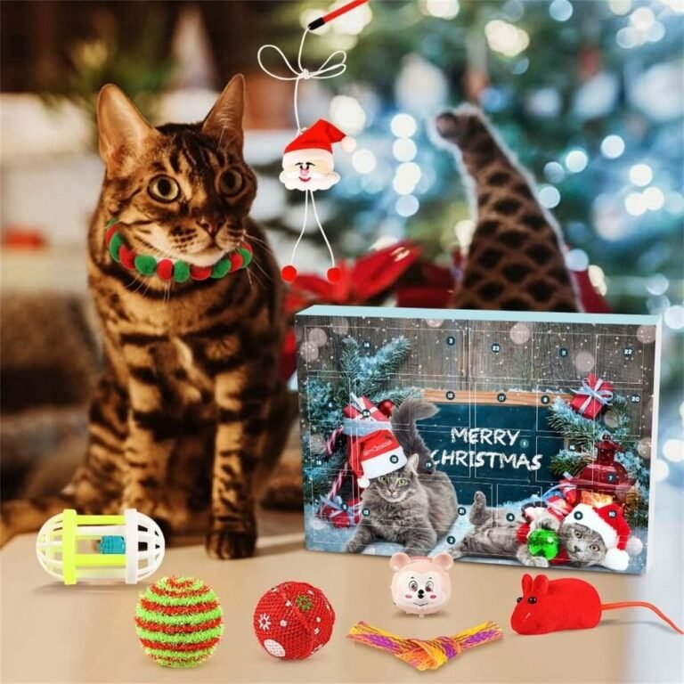 Calendrier De Lavent Pour Chat 2