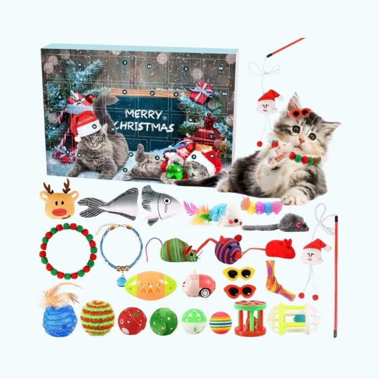 Calendrier De Lavent Pour Chat 4