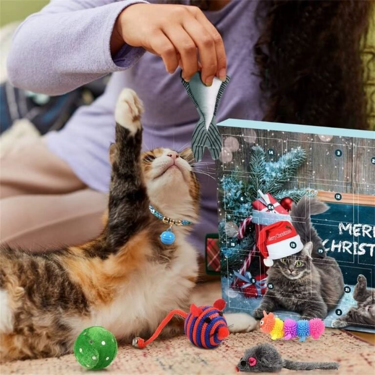 Calendrier De Lavent Pour Chat 6