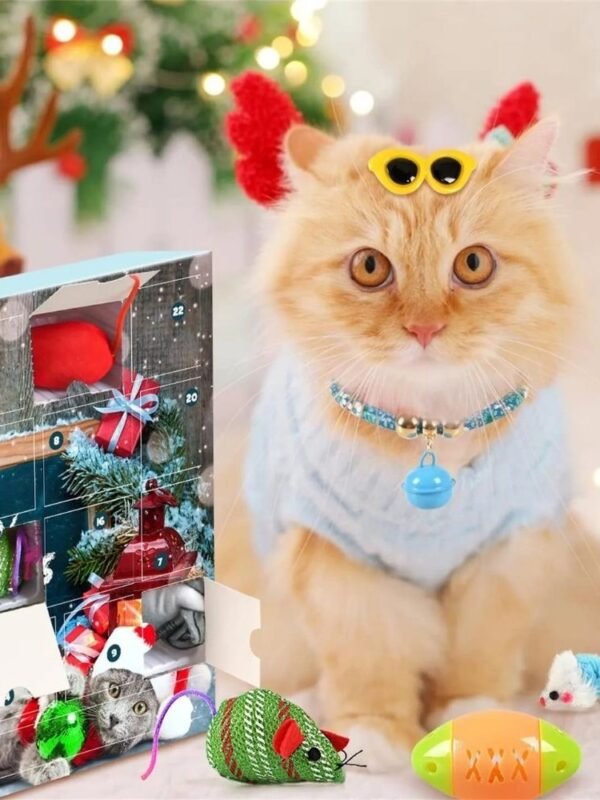 Calendrier De Lavent Pour Chat