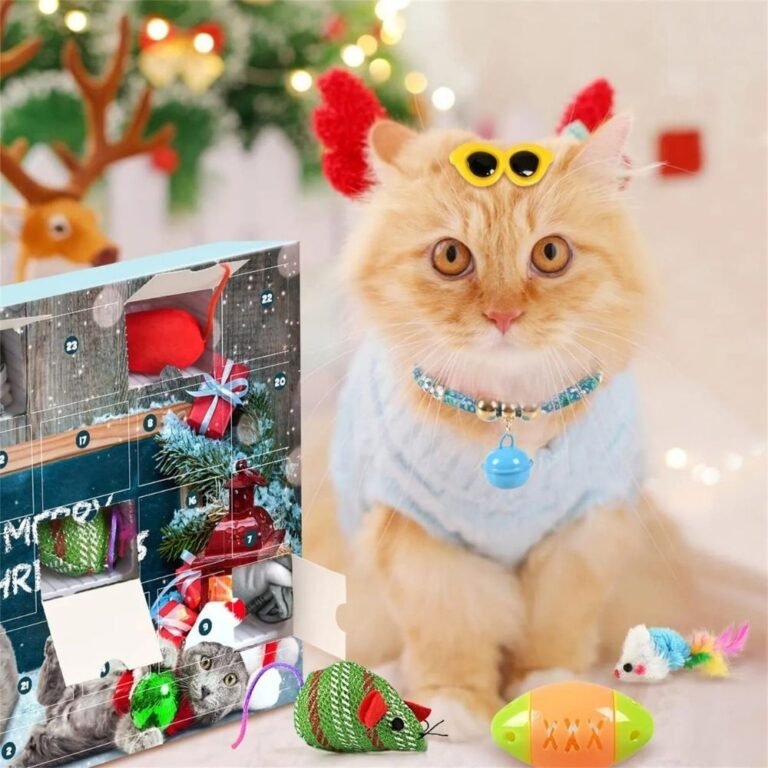 Calendrier De Lavent Pour Chat