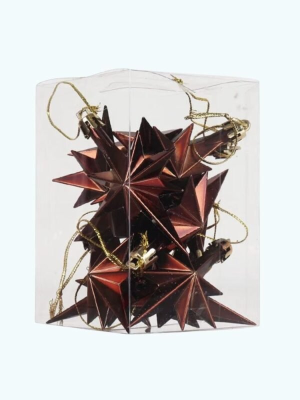 Etoiles De Noel Marrons 1
