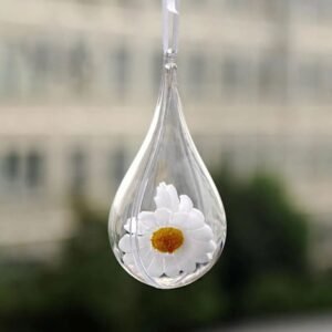Forme En Plastique Transparent En Deux Parties Goutte Deau 1