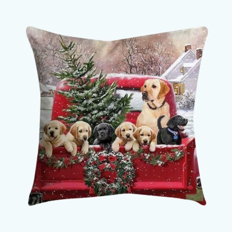 Housse De Coussin Rouge 1