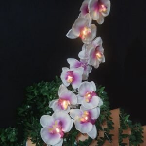 Orchidee De Noel Guirlande Led