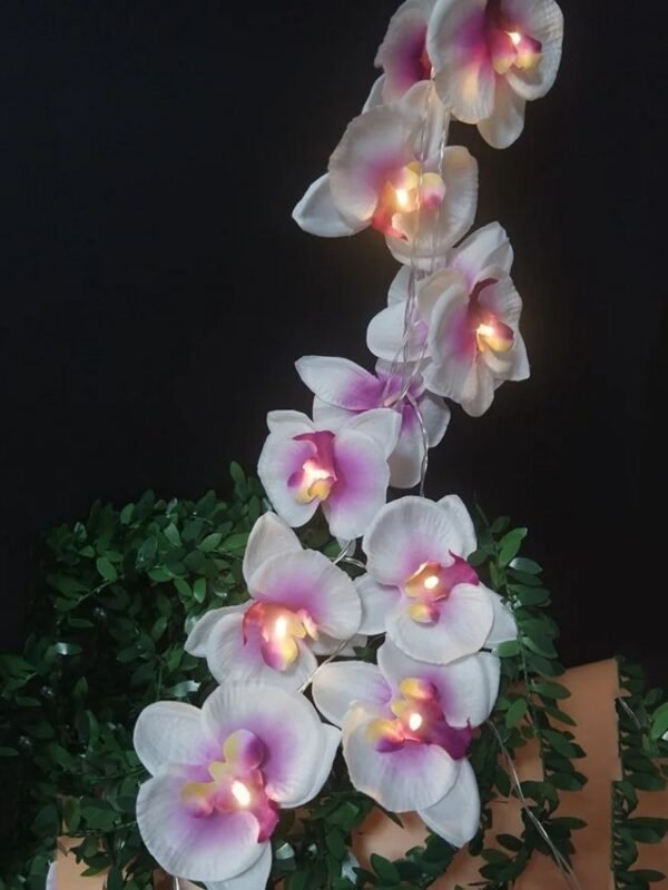 Orchidee De Noel Guirlande Led