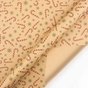 Papier Cadeau Recyclable 1