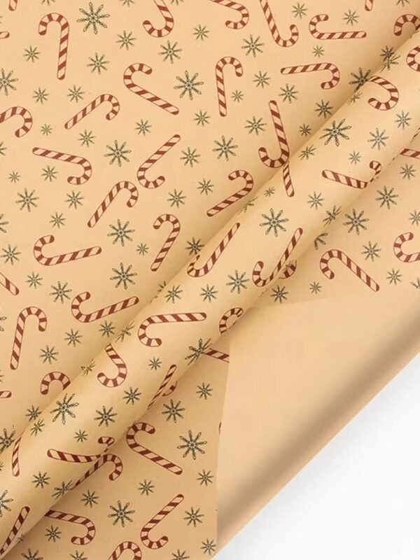 Papier Cadeau Recyclable 1