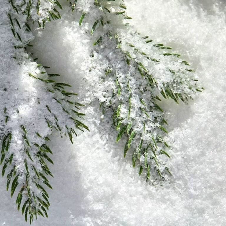 Sachet De Neige Artificielle Blanche 4